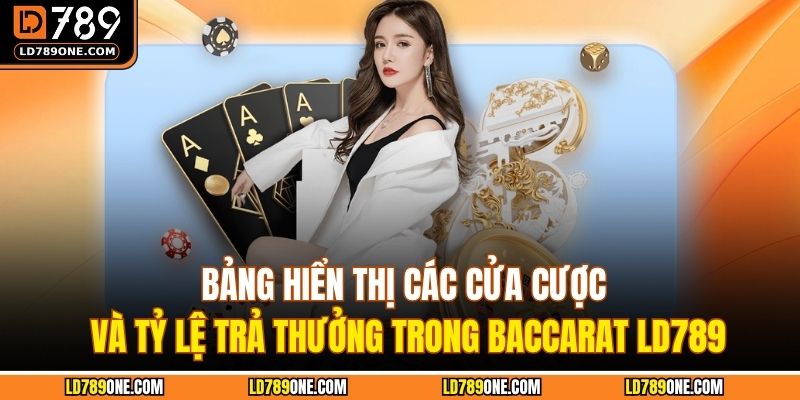 Bảng hiển thị các cửa cược và tỷ lệ trả thưởng trong Baccarat LD789
