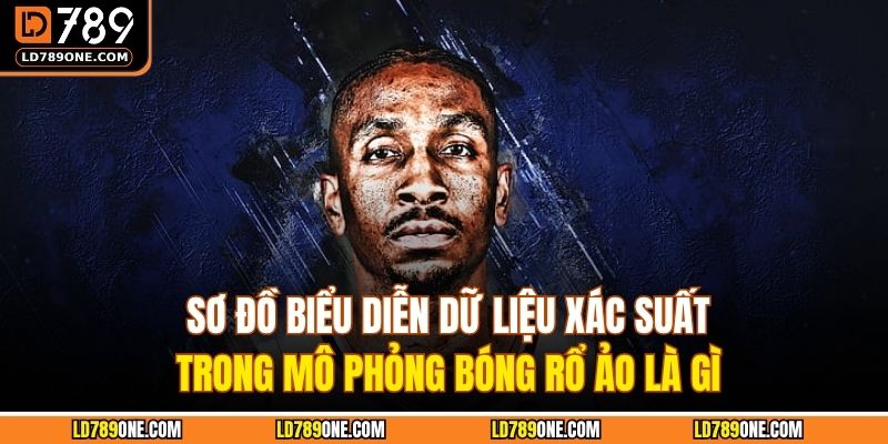 Sơ đồ biểu diễn dữ liệu xác suất trong mô phỏng bóng rổ ảo là gì
