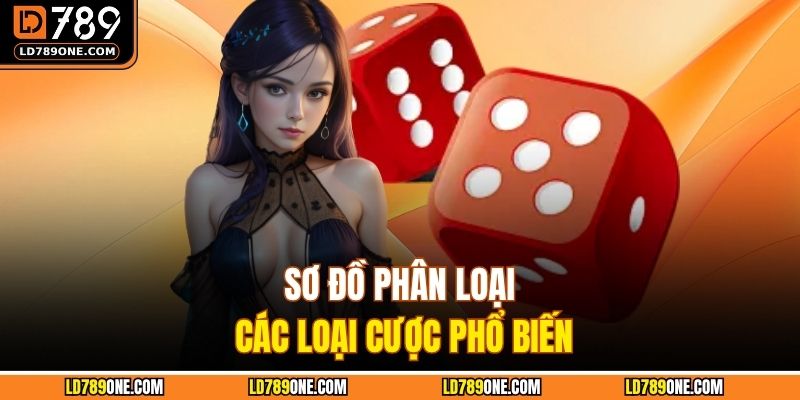 Sơ đồ phân loại các loại cược phổ biến